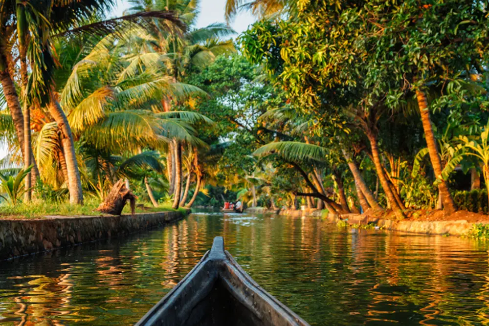 Exclusive Kerala Honeymoon Tour Packages